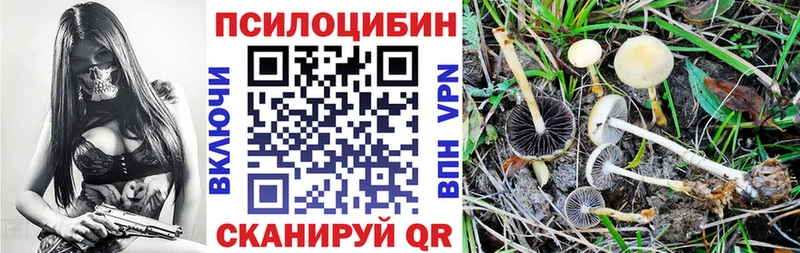 Галлюциногенные грибы мухоморы Воркута